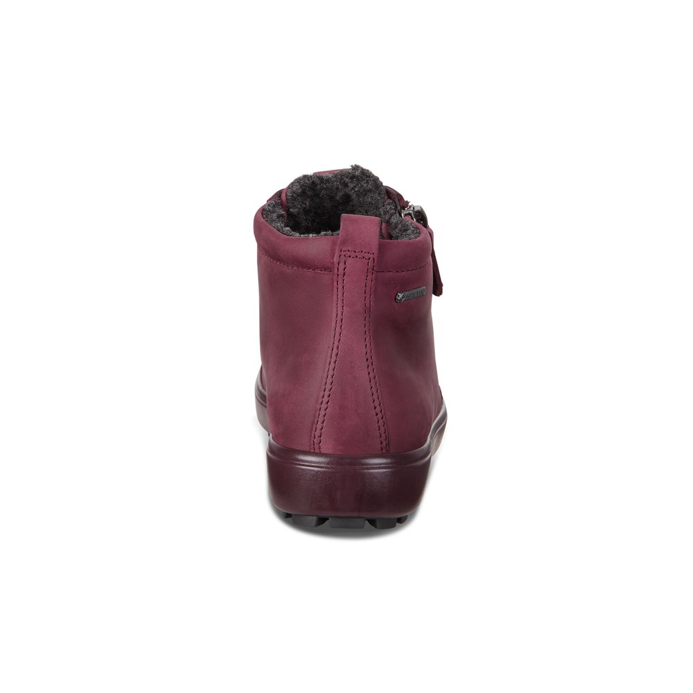 Womens Sneakers - ECCO Soft 7 Tred Gtx Hi - Burgundy - 9503WLMCH